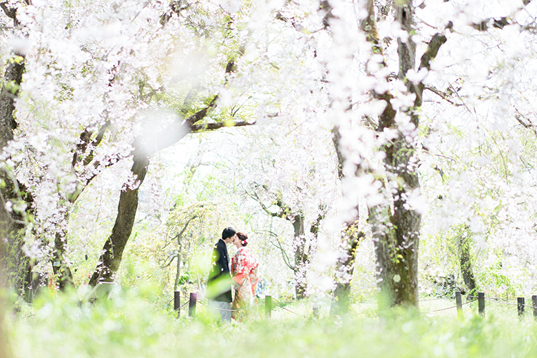 桜の下で和装の前撮り