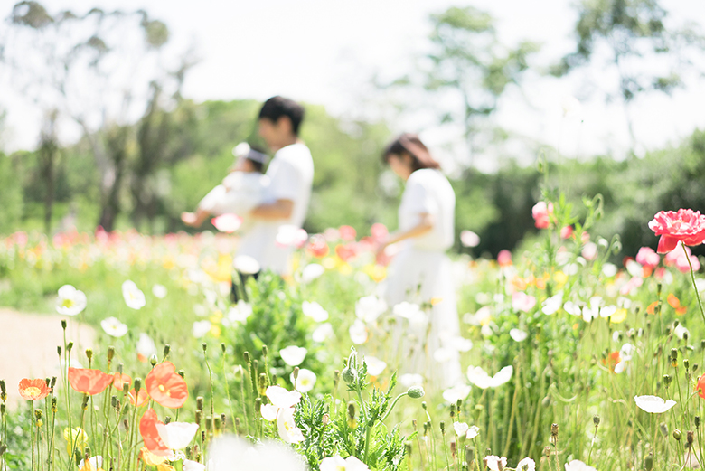 万博公園のお花エリア