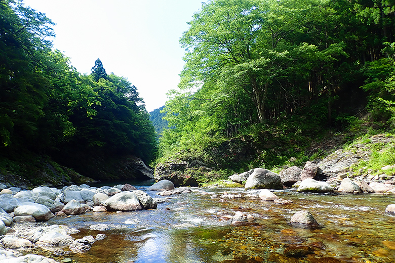 みのずみオートキャンプ場の側の川