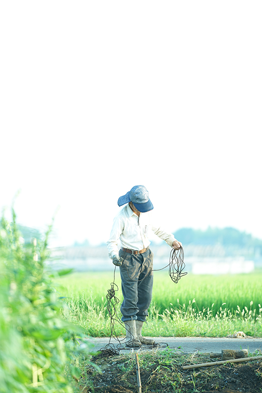 筑後の土地で農業を営む写真