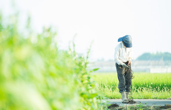 福岡県筑後市で農作業する写真