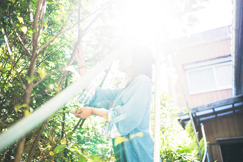 家の山椒を摘み取る妻